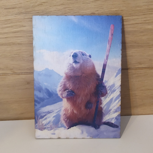 Carte postal en bois marmotte ski