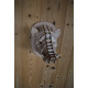 Wooden boar head 30cm
