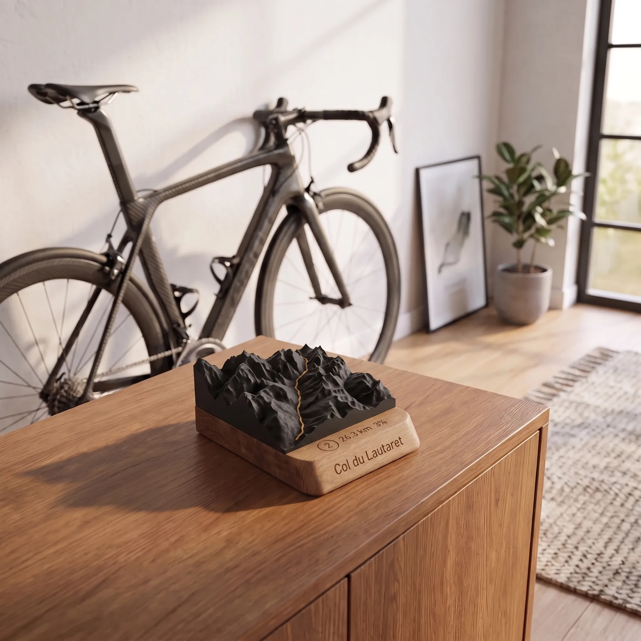 Col du Lautaret – Mapa 3D relieve — Ciclismo (decoración)
