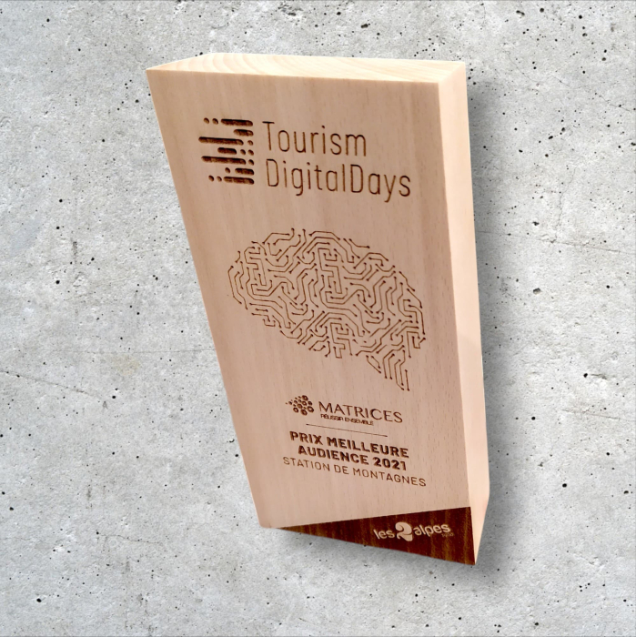 Trophée en bois sur mesure gravé pour entreprise et événement — 3D Mountain