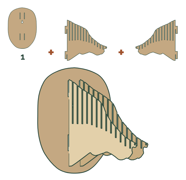 La base n.º 1 y las dos piezas de perfil de la cabeza de jabalí, insertadas en perpendicular en sus ranuras